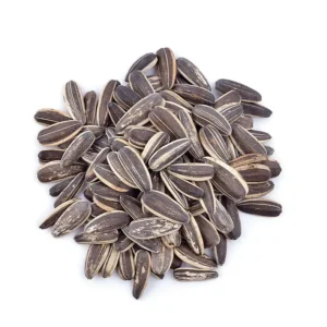 skyscraper sunflower seed