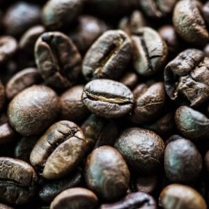 buy roasted black ivory coffee