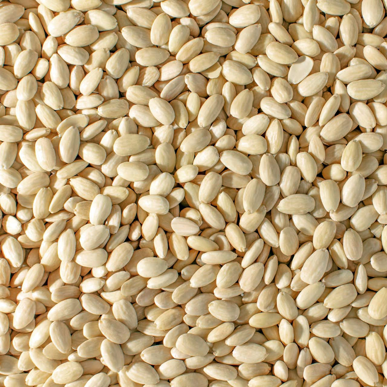 buy premium marcona almonds nuts buy premium marcona almonds nuts