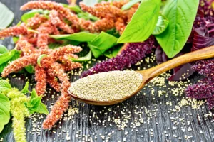 premium amaranth grain bulk supplier | organic wholesale supply