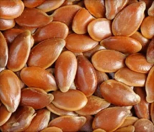 premium flax seeds bulk supplier