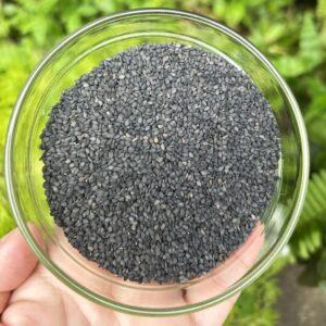 Premium Black Sesame Seeds Bulk Supplier
