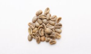 panama geisha auction lots – rare, premium coffee