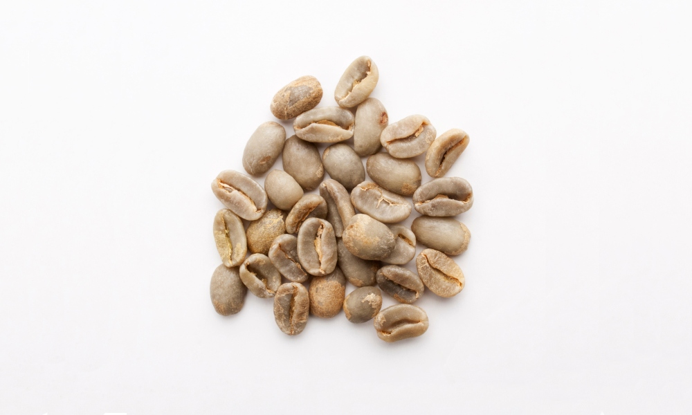 2026 Panama Geisha auction samples 