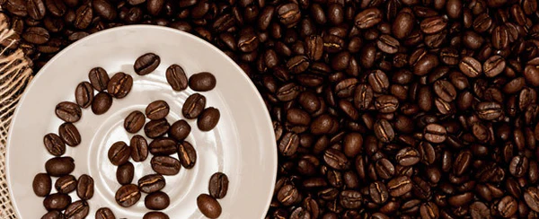 Wholesale Premium Misha Coffee 