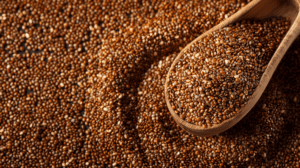 Premium-Teff-Grain-Bulk-Supplier-Ivory-and-Brown.